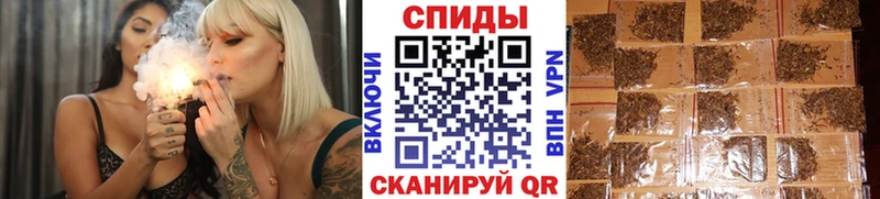 Бутират буратино  Канаш 