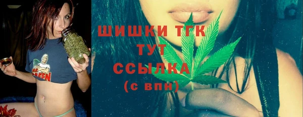 эйфоретик Аркадак