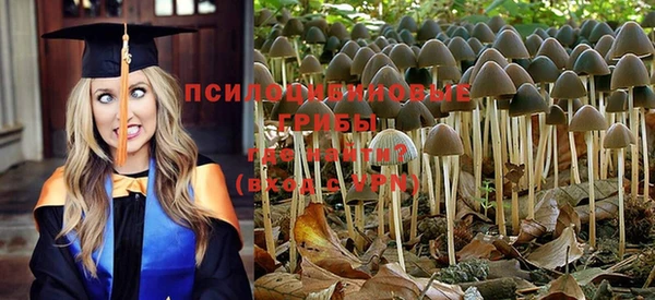 дурь Арсеньев