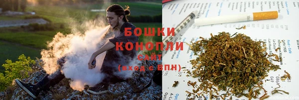дурь Арсеньев