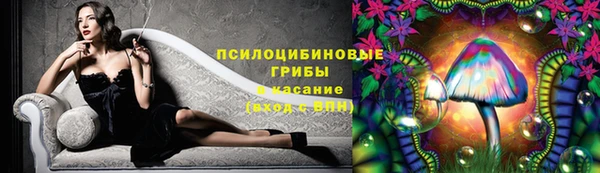 эйфоретик Аркадак