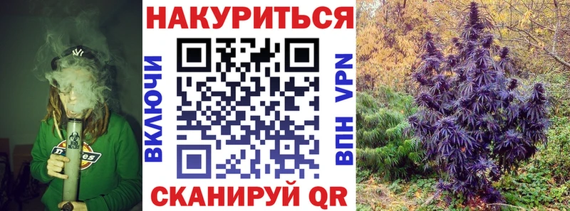 закладка  Канаш  Шишки марихуана SATIVA & INDICA 